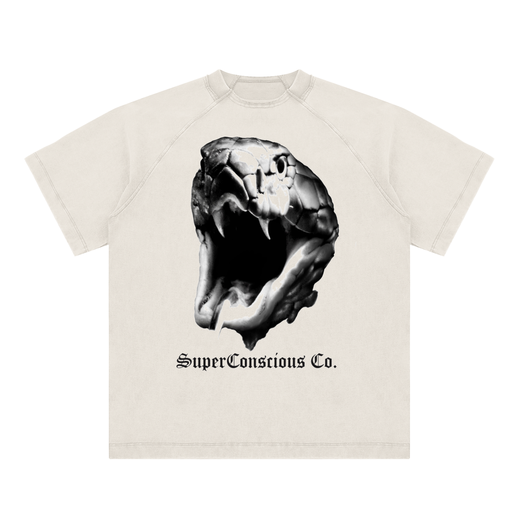 Fearless Vintage Washed Raglan Cotton T-Shirt image 0
