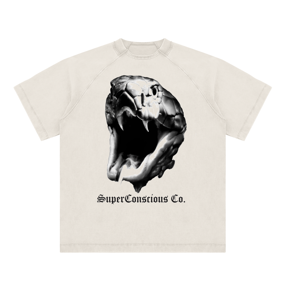 Fearless Vintage Washed Raglan Cotton T-Shirt image 0