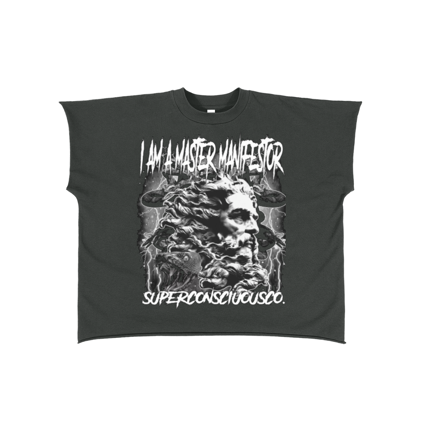 Master Manifestor Raw Edge Boxy Non-Shrink T-Shirt image 13