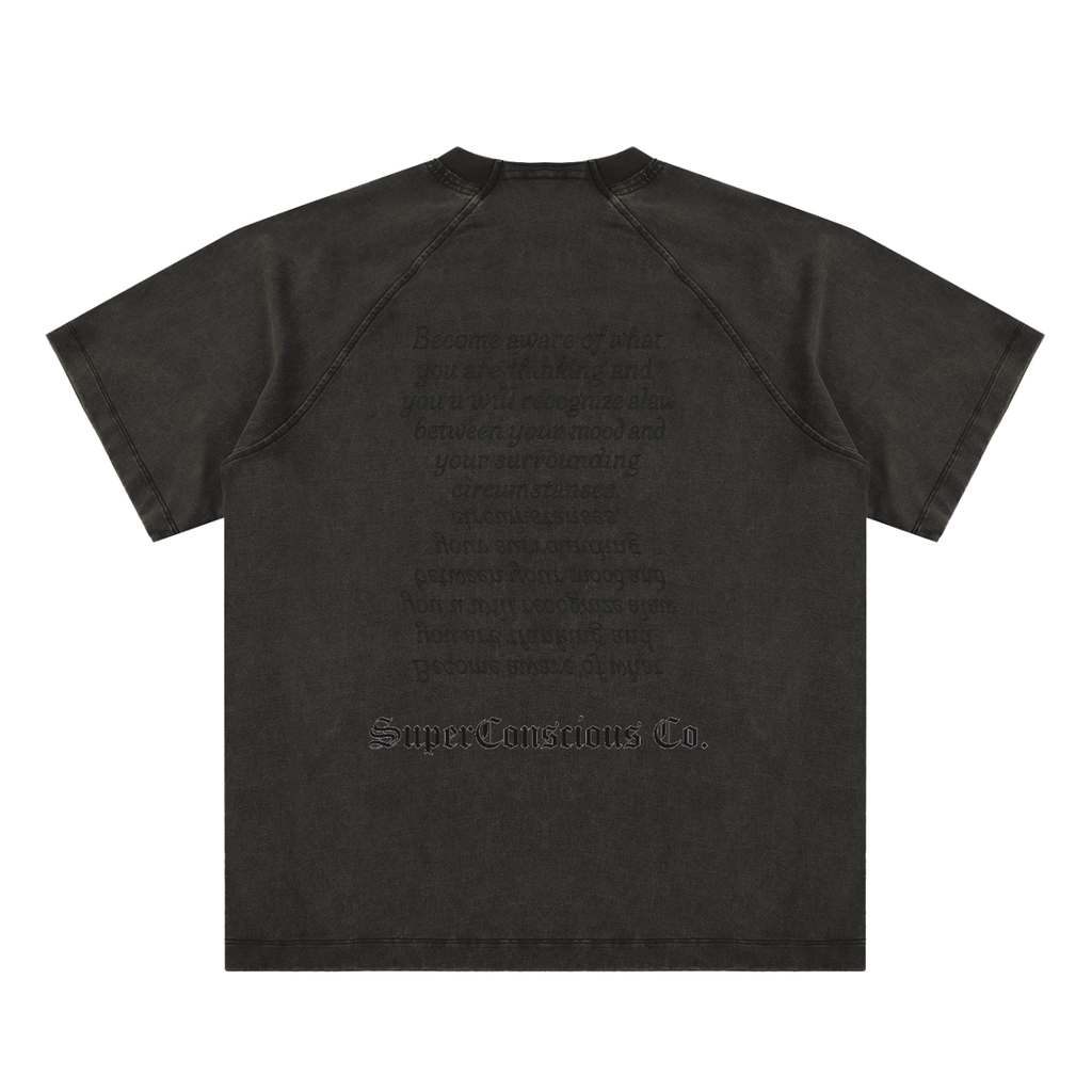 Fearless Vintage Washed Raglan Cotton T-Shirt image 3