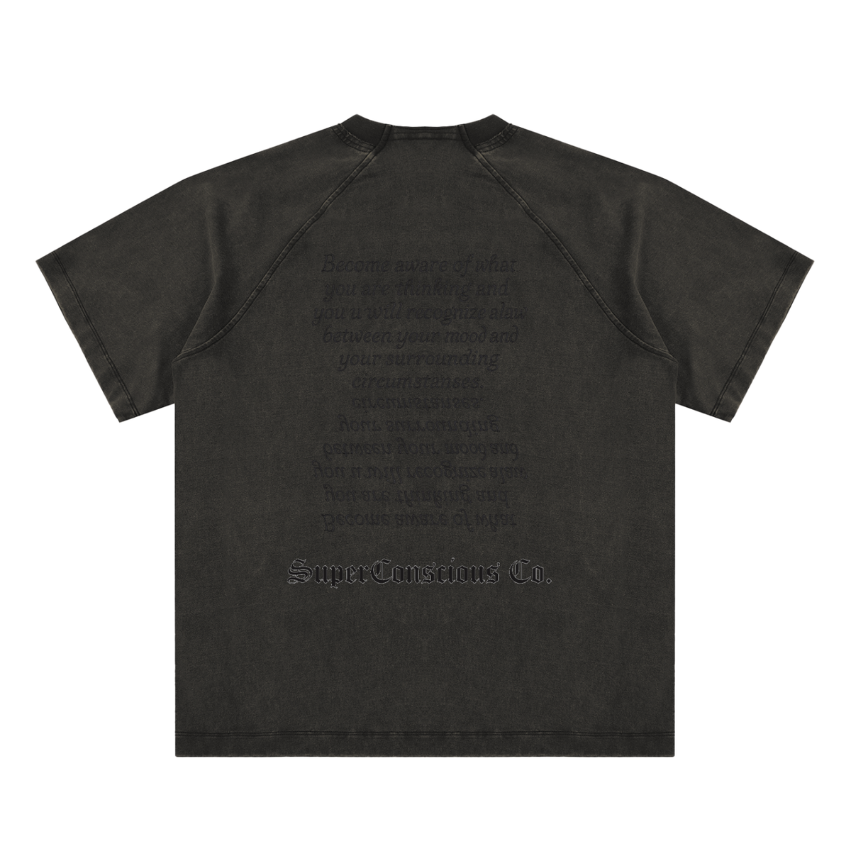 Fearless Vintage Washed Raglan Cotton T-Shirt image 3
