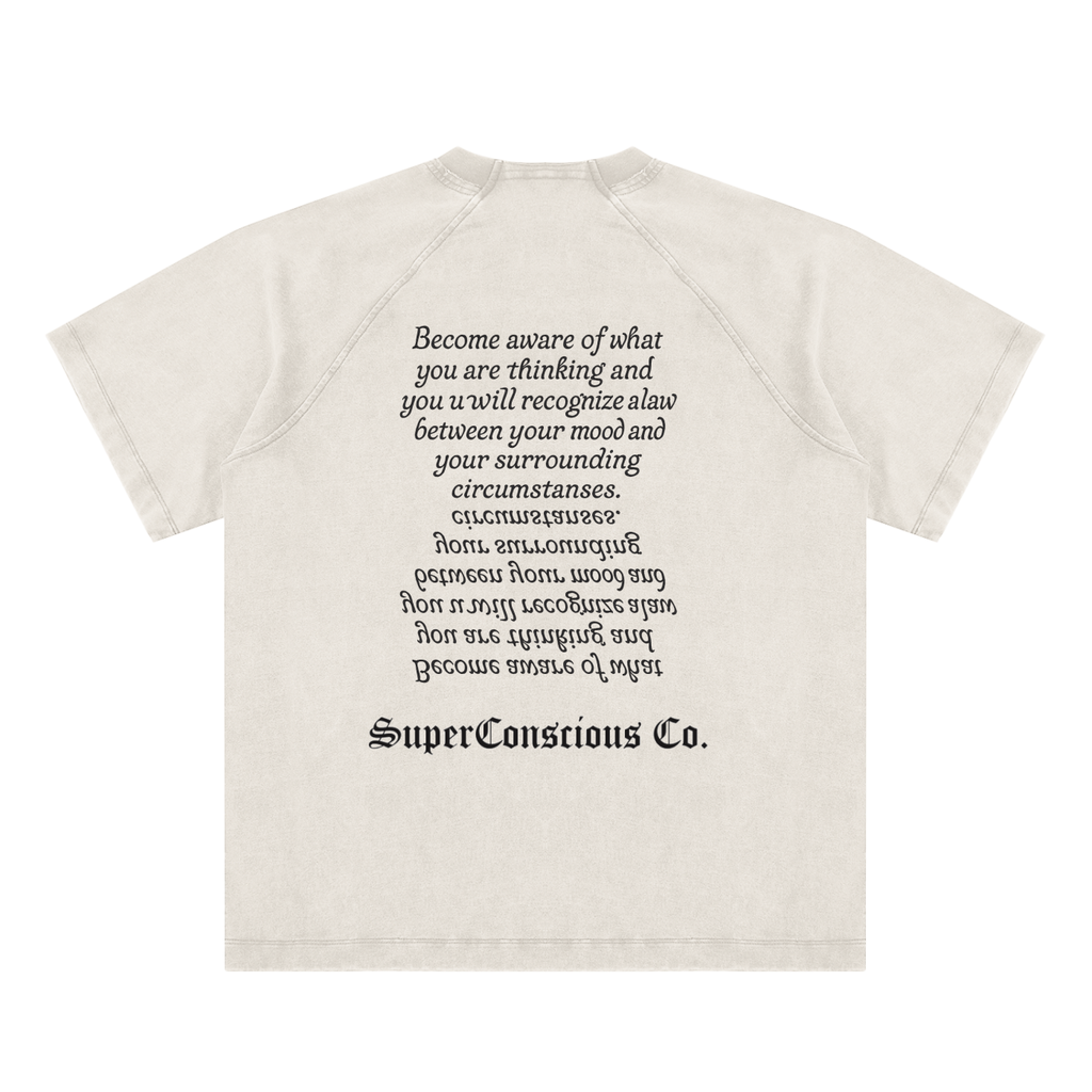 Fearless Vintage Washed Raglan Cotton T-Shirt image 1