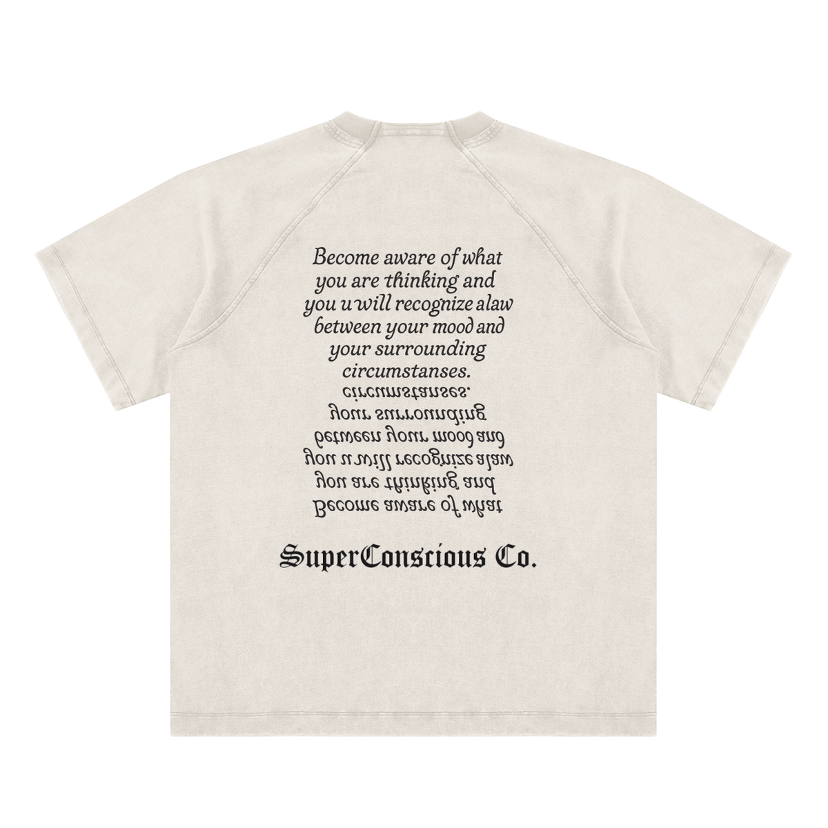 Fearless Vintage Washed Raglan Cotton T-Shirt image 1