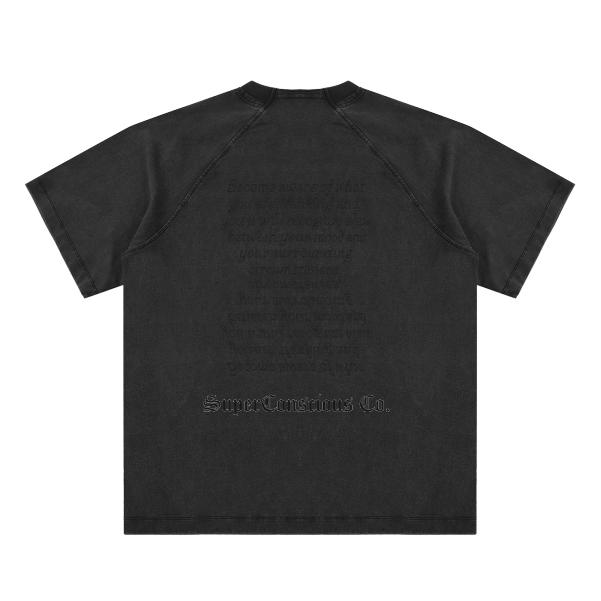 Fearless Vintage Washed Raglan Cotton T-Shirt image 2