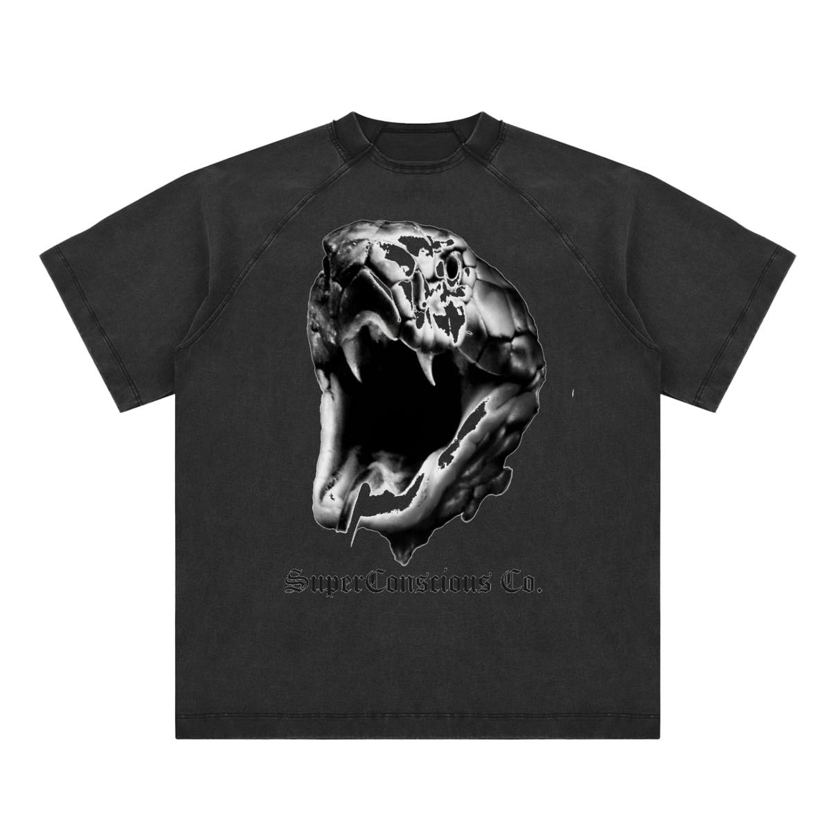 Fearless Vintage Washed Raglan Cotton T-Shirt image 12