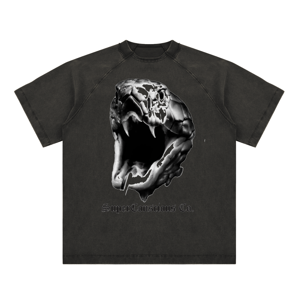 Fearless Vintage Washed Raglan Cotton T-Shirt image 4