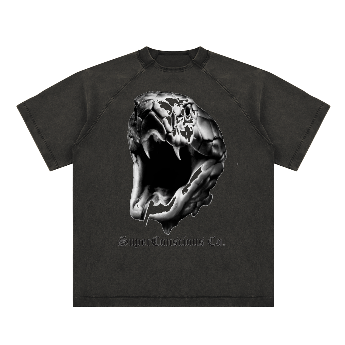 Fearless Vintage Washed Raglan Cotton T-Shirt image 4